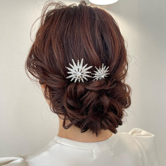 ヘッドピン コンステレーション ×2 【レンタル3泊4日基本プラン】