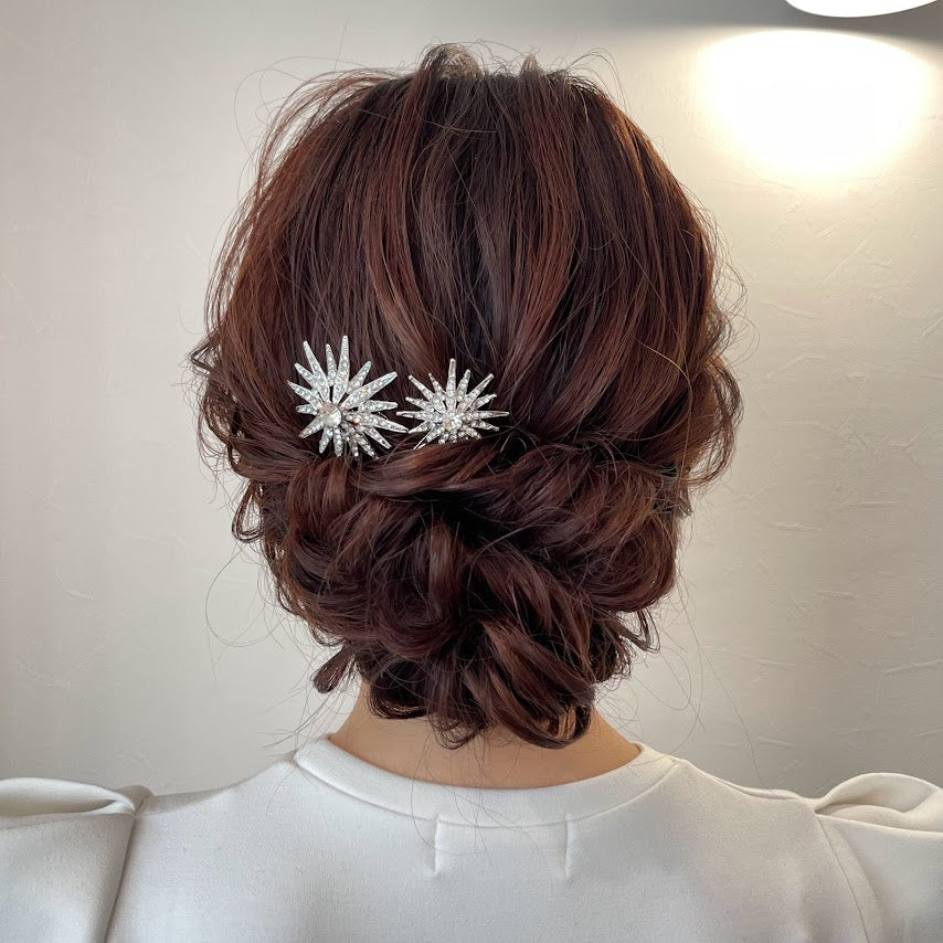 ヘッドピン コンステレーション ×2 【レンタル3泊4日基本プラン】